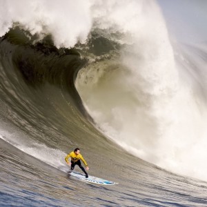 开云体育中心-塔图姆遭遇十连败，澳大利亚队教练面临压力，当个人困境撞上集体危机，塔图姆十连败引爆澳大利亚队教练危机，个人困境碰撞集体压力